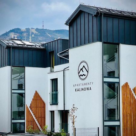 Apartamenty Riders Lodge Szczyrk Kalinowa Exteriér fotografie